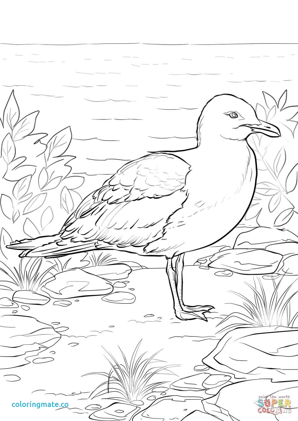 1020x1440 California Coloring Pages Elegant California State Flag Coloring