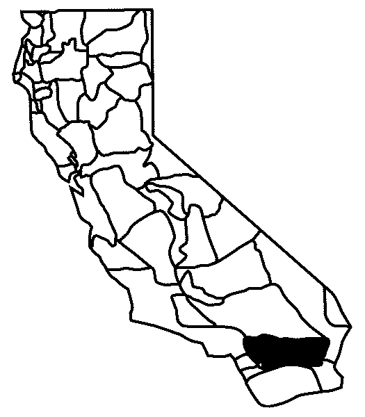 525x600 California Indians