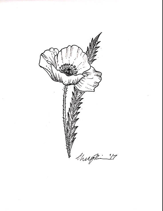 570x738 California Poppy Tattoo