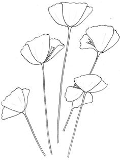 236x315 California Poppy Line Drawing
