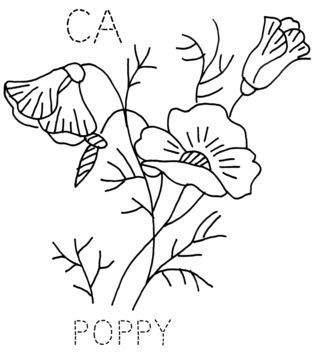 320x355 Poppies Will Make Them Sleep Embroidery Embroidery