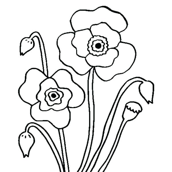 600x600 Poppy Coloring Page Omnitutor.co