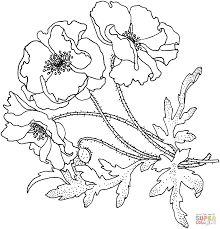 220x229 8 Best Poppies Images On Adult Coloring, Colouring