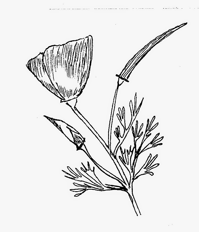 760x887 The Gleewoman's Notes Elk Lines The Stamps Amp The Story Cases