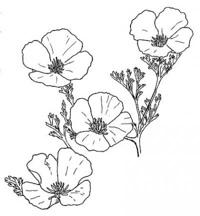 400x431 Abouttime Free Images