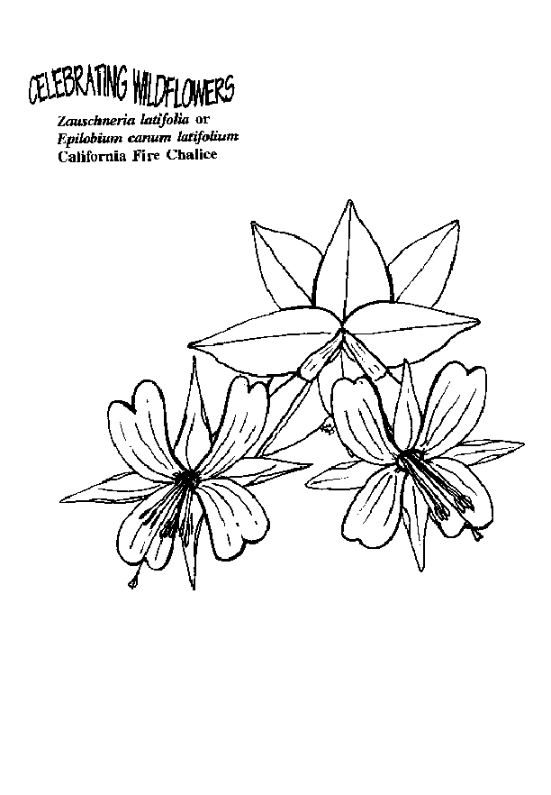 612x882 Umatilla National Forest