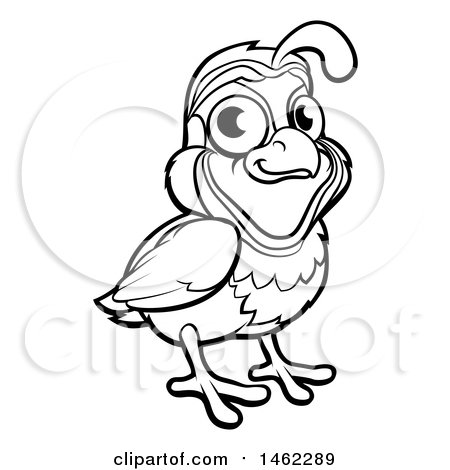 450x470 Clipart Of A Cartoon California Quail Bird