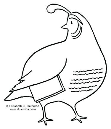 375x436 Quail Coloring Page Coloring Page Quail Moses Quail Coloring Page