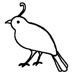 300x309 Quail Clipart Black And White