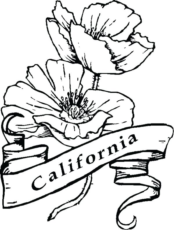 600x793 California Coloring Pages Valley Quail Coloring Page California