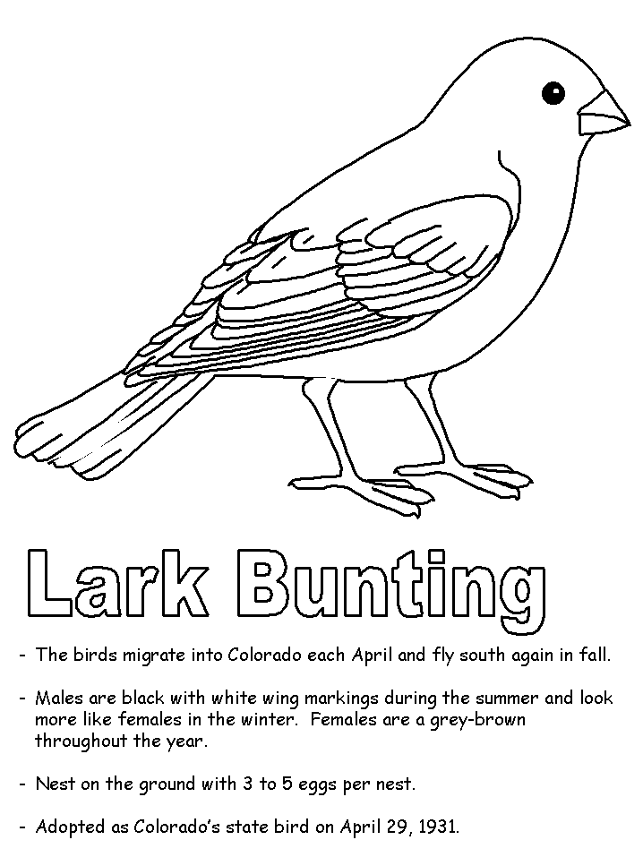 718x957 California Quail Coloring Page
