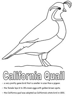 236x314 California State Flag Coloring Page State Flags