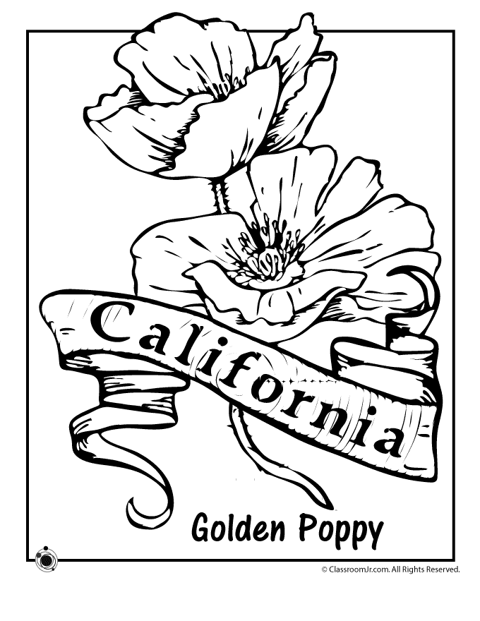 680x880 State Flower Coloring Pages California State Flower Coloring Page