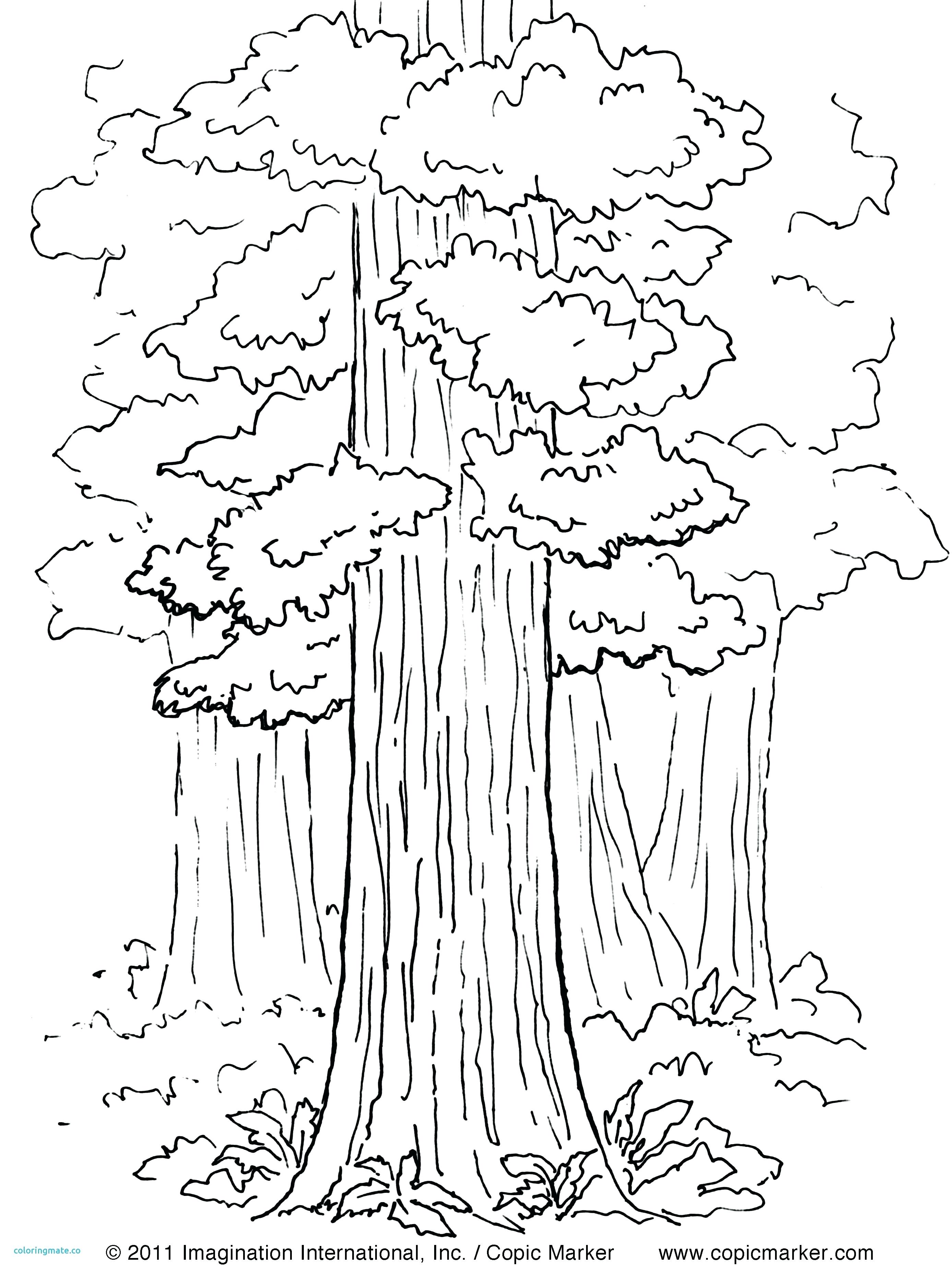 2776x3703 Printable California State Printable