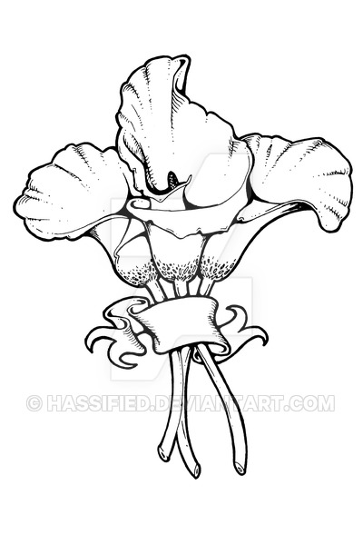 400x589 Calla Lilies By Hassified