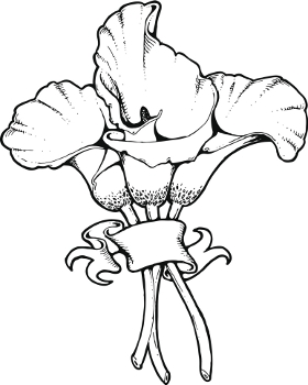 280x350 Calla Lily Tattoos