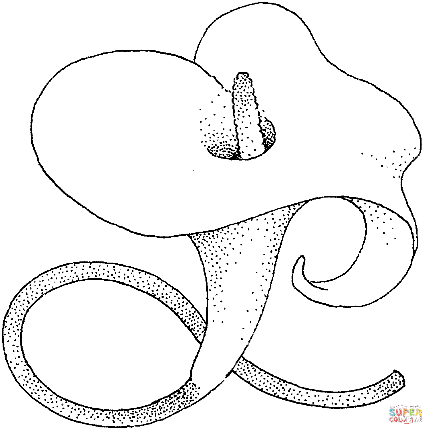 1495x1500 Calla Lily Blossom Coloring Page Free Printable Coloring Pages