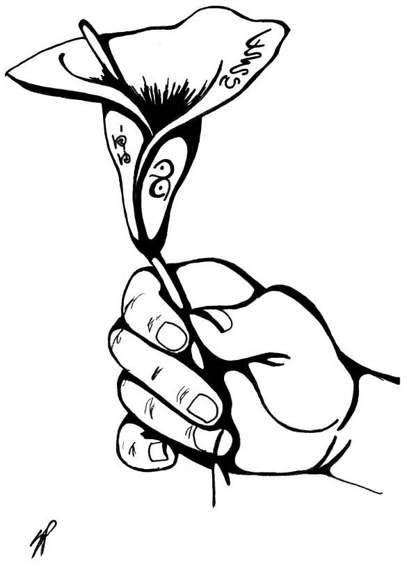 585x813 Calla Lily By Arien87