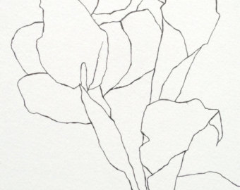 340x270 Calla Lily Drawing Etsy