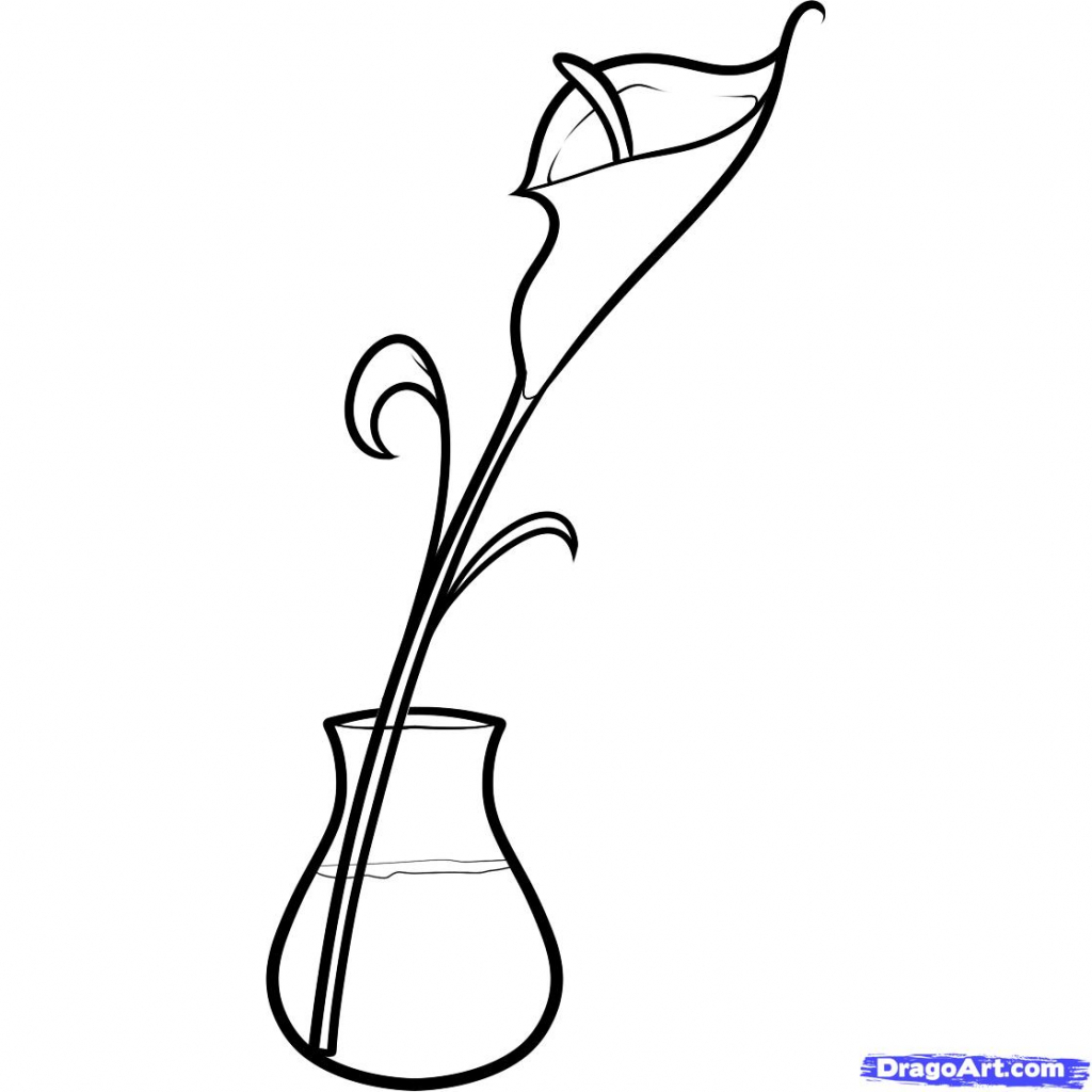 1024x1024 How To Draw A Calla Lily How To Draw A Calla Lily Step Step