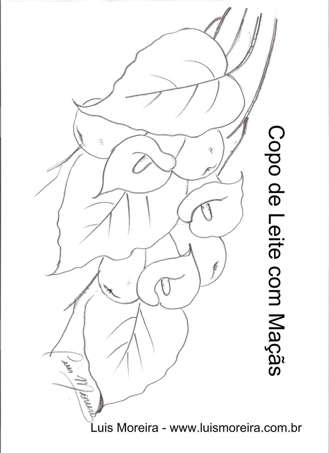 1343x1847 Simple Calla Lily Drawing