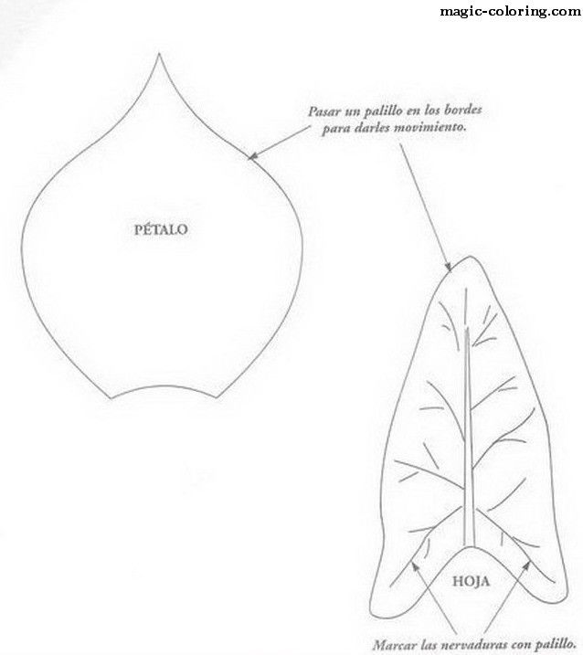 638x717 28 Images Of Calla Lily Cut Out Template