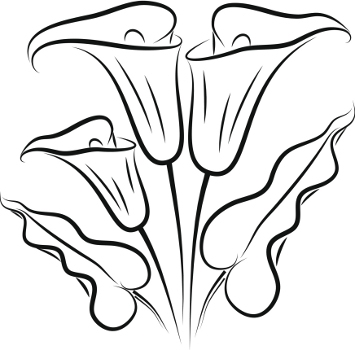 355x350 Calla Lily Tattoos