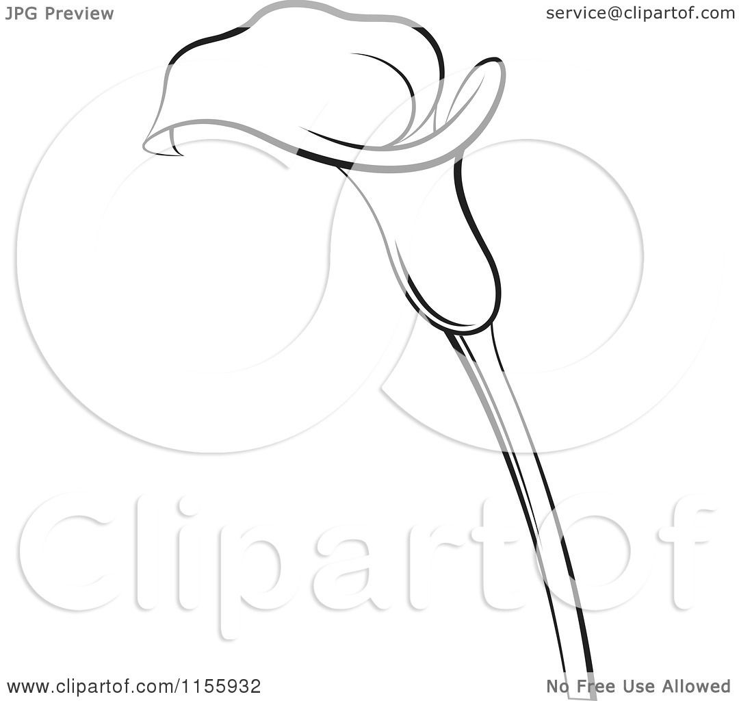 1080x1024 Clipart Of A Black And White Calla Lily Flower