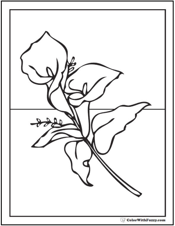 590x762 Lily Coloring Pages Customize Pdf Printables