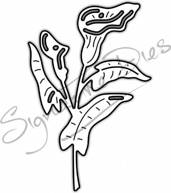 570x645 Signature Dies