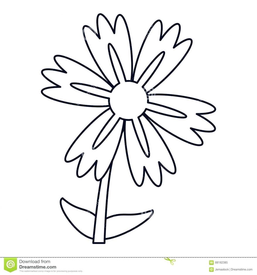 878x939 Calla Lily Flower Drawing