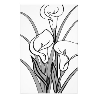 324x324 Calla Lily Pencil Drawing