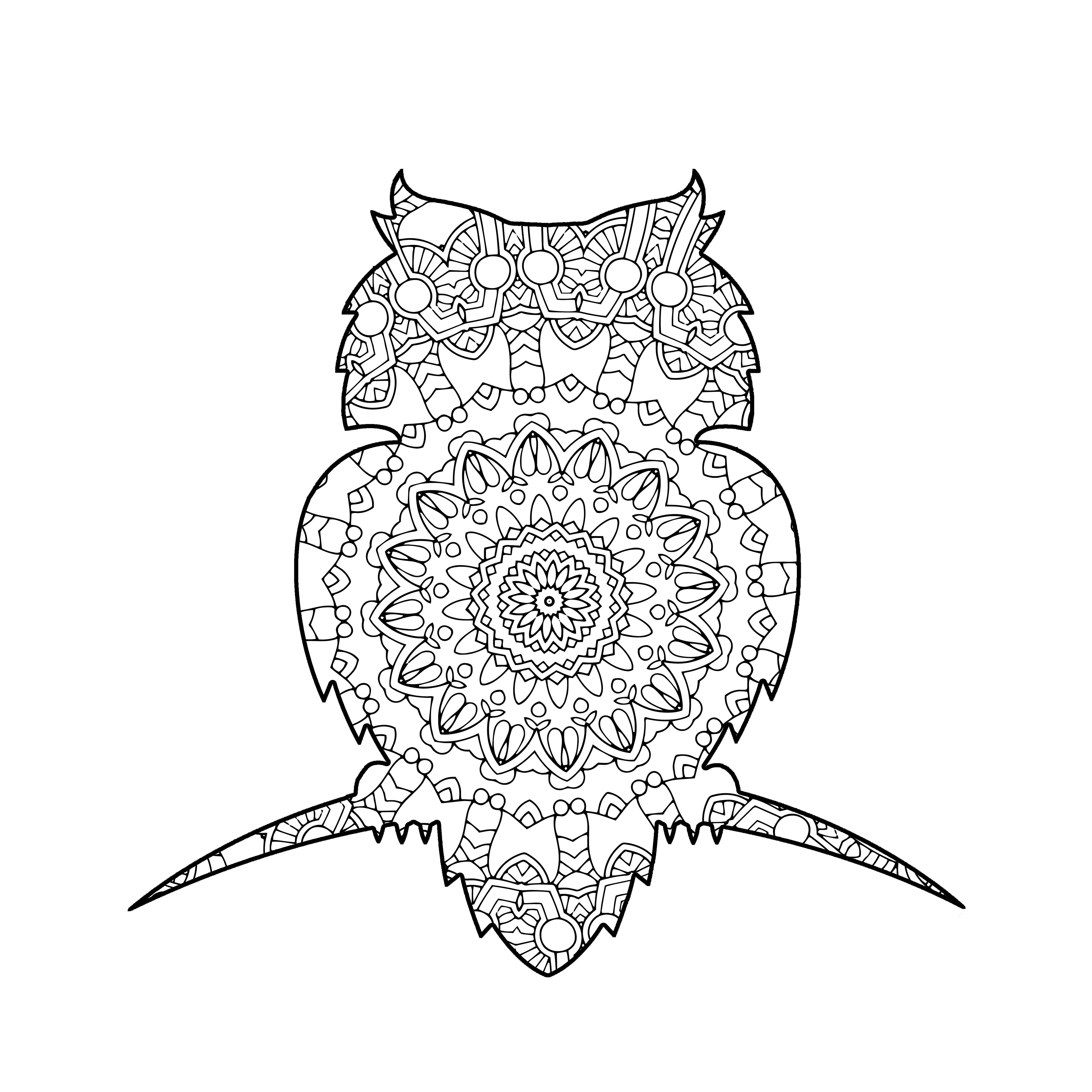 4500x4500 To Calm, Volume Three Animals