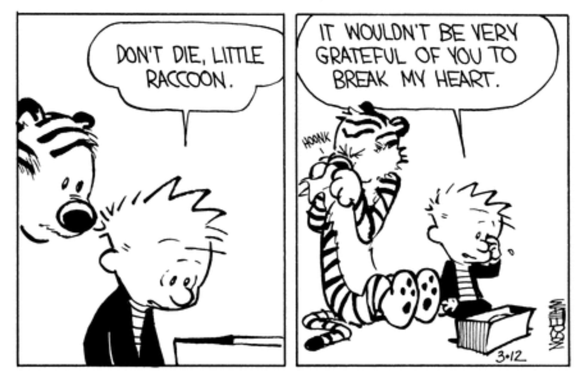 1957x1281 Leading Questions Calvin Amp Hobbes Meet A Baby Raccoon, Chase