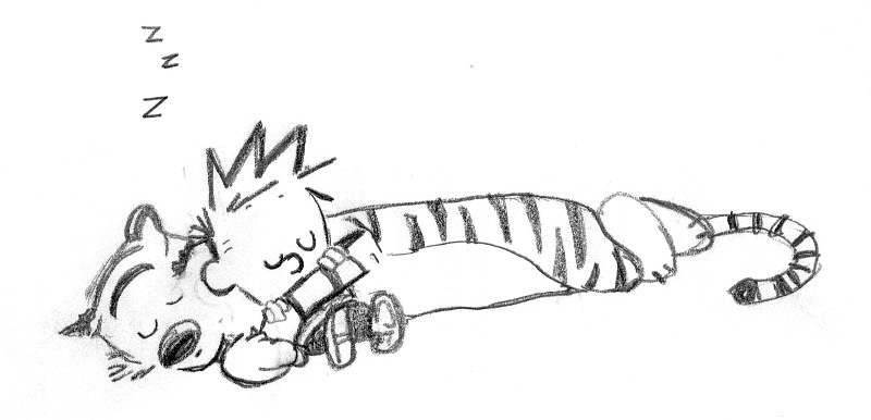 800x386 Calvin And Hobbes Zzz By Misledfury