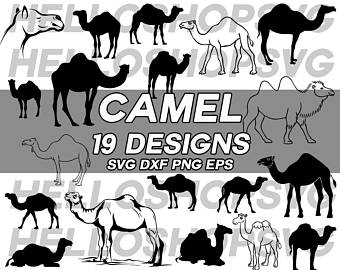 340x270 Camel Silhouette Etsy