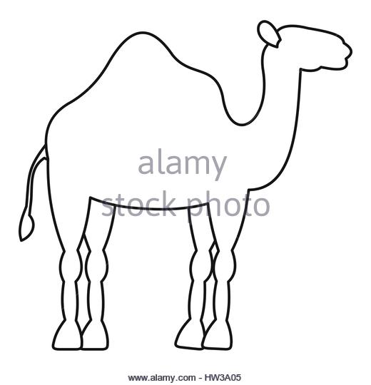 520x540 Egypt Camel Caravan At Black And White Stock Photos Amp Images