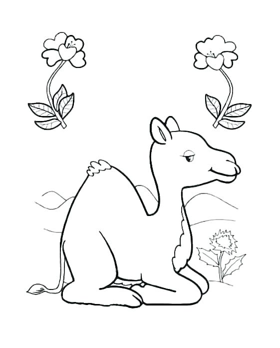 561x696 Camels Coloring Pages Camel Coloring Page For Kids Cartoon Camel