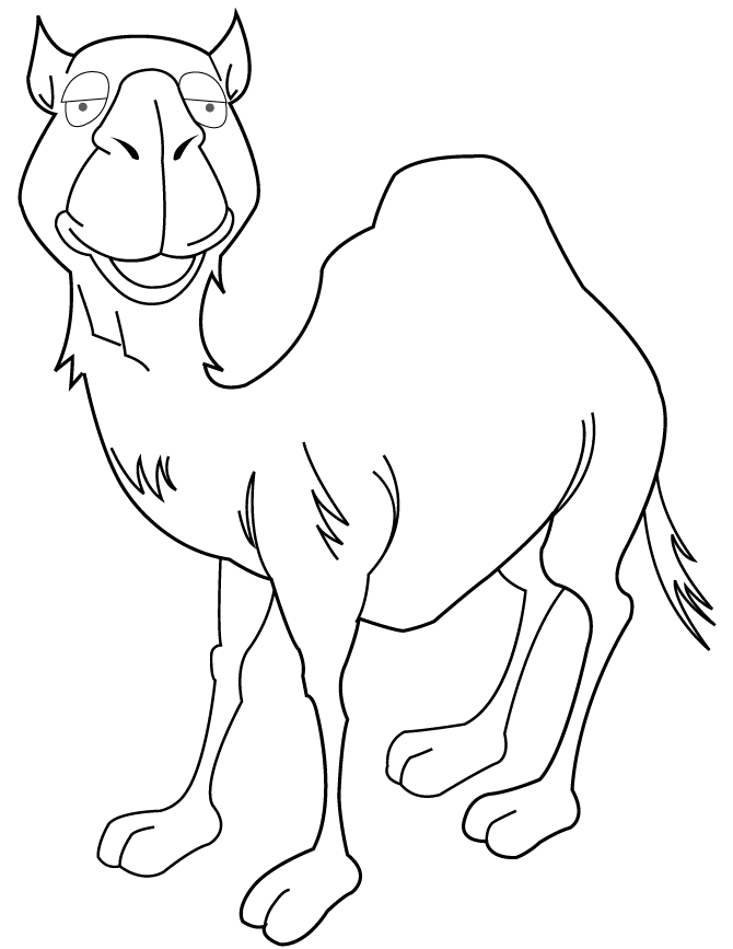 670x867 Cartoon Camel For Children Coloring Page H Amp M Coloring Pages