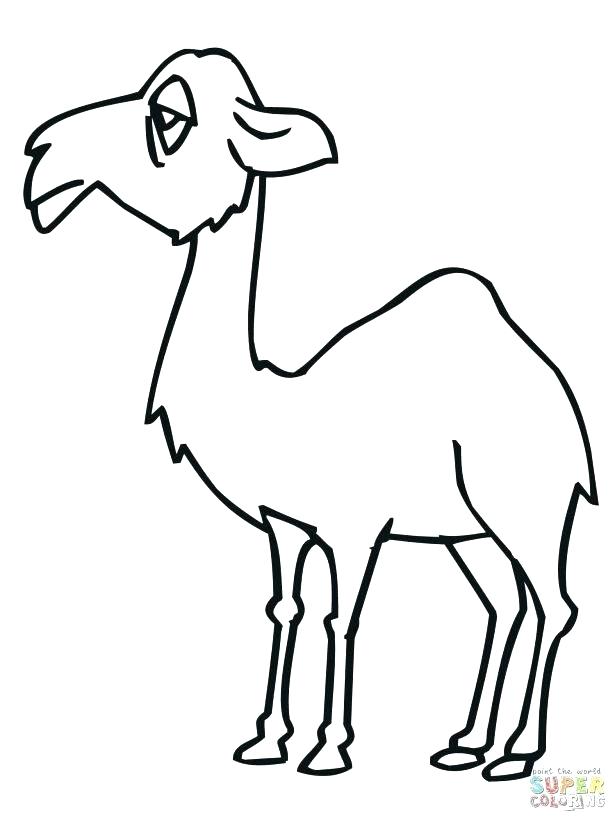 615x820 Classy Camel Coloring Page Online Pages Sad Cartoon Col