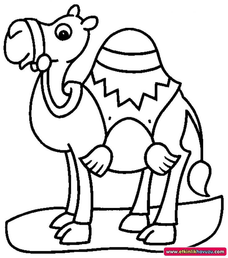 736x834 62 Best Kangaroos, Camels Images On Kangaroo