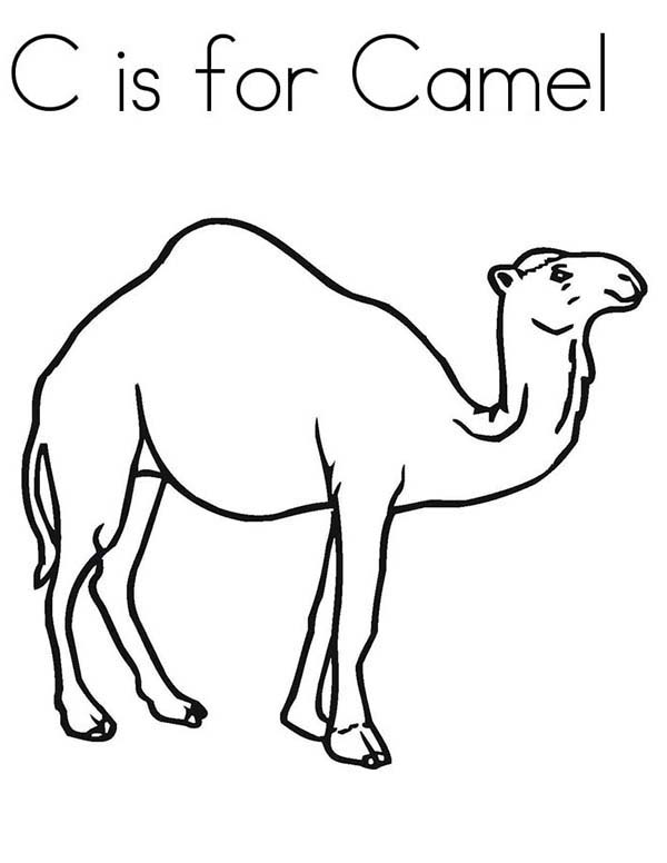 600x776 C Is For Camel Coloring Page Camel Coloring Pages