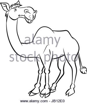 300x355 Camel Caravan In Desert Cartoon Vector Stock Vector Art