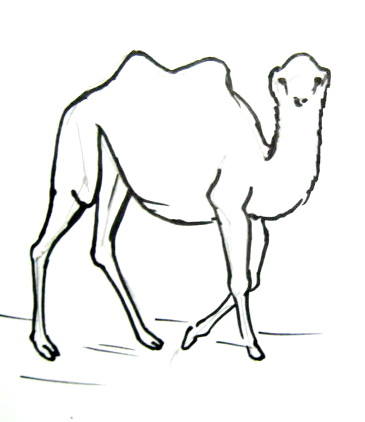 365x422 How To Draw A Camel And Baby Camel