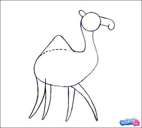 470x424 How To Draw Camel