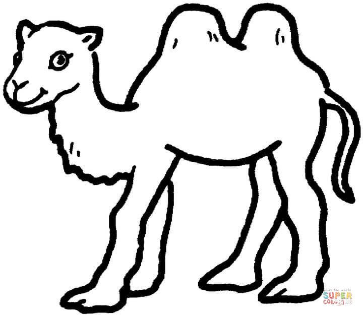 720x627 Image Result For Camel Line Drawing Animal Line Drawings
