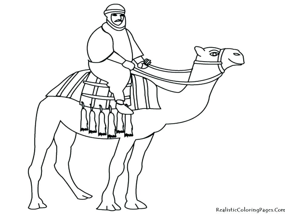 940x705 Best Of Camel Coloring Page Images Camel Coloring Pages C