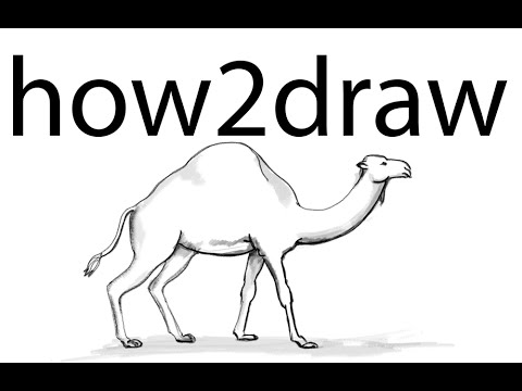 480x360 How To Draw A Camel