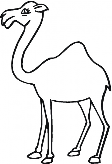 360x525 Camel Outline For Growing Humpgoal Book Fair