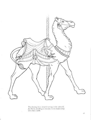 386x512 102 Best Camels Images On Camels, Camel Animal And Camel